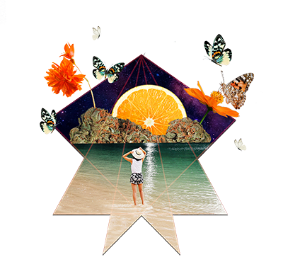 Orange Daiquiri strand artwork
