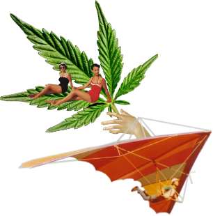 Hang glider collage