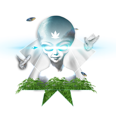 White MAC strain artwork