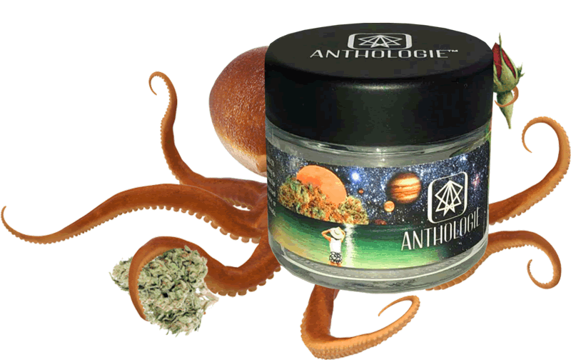 Anthologie Products